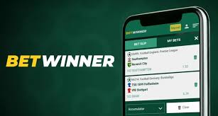 BetWinner Casino Your Ultimate Gaming Destination -833563730
