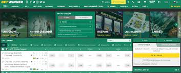 Your Ultimate BetWinner Betting Guide